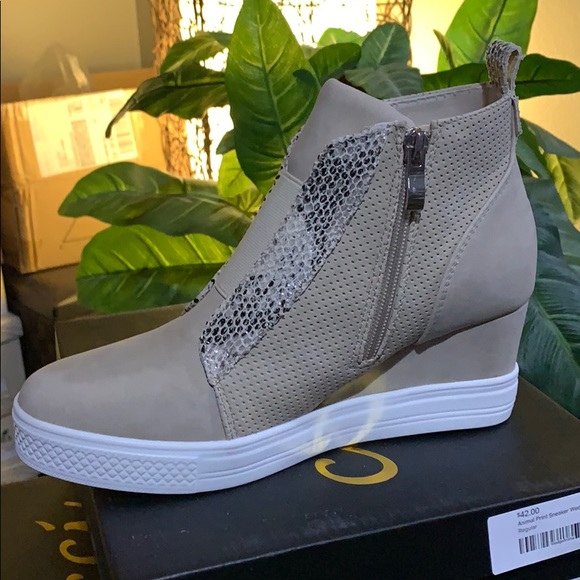 CCOCCI Shoes Sneaker Wedge With Snakeskin Poshmark